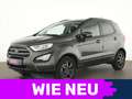 Ford EcoSport Cool & Connect Winter-Paket|Sitzheizung Gris - thumbnail 1