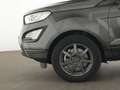 Ford EcoSport Cool & Connect Winter-Paket|Sitzheizung Gris - thumbnail 13