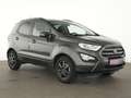 Ford EcoSport Cool & Connect Winter-Paket|Sitzheizung Gris - thumbnail 4
