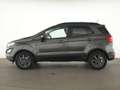 Ford EcoSport Cool & Connect Winter-Paket|Sitzheizung Gris - thumbnail 9