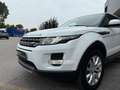 Land Rover Range Rover Evoque Range Rover Evoque 2.2 TD4 Pure Manuale Bianco - thumbnail 3
