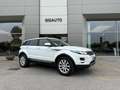 Land Rover Range Rover Evoque Range Rover Evoque 2.2 TD4 Pure Manuale Bianco - thumbnail 13