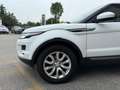 Land Rover Range Rover Evoque Range Rover Evoque 2.2 TD4 Pure Manuale Bianco - thumbnail 4