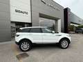 Land Rover Range Rover Evoque Range Rover Evoque 2.2 TD4 Pure Manuale Bianco - thumbnail 7