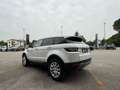 Land Rover Range Rover Evoque Range Rover Evoque 2.2 TD4 Pure Manuale Bianco - thumbnail 6