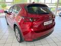 Mazda CX-5 Sports-Line AWD*Leder*1. Hand *Sitzkühlung Rot - thumbnail 6