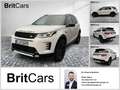 Land Rover Discovery Sport P270e Dynamic SE 360-CAM ACC CAM Weiß - thumbnail 1