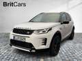 Land Rover Discovery Sport P270e Dynamic SE 360-CAM ACC CAM Weiß - thumbnail 2