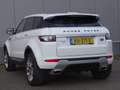 Land Rover Range Rover Evoque 2.0 Si 4WD Prestige airco panodak cruise 2012 White - thumbnail 7