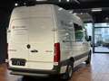 Mercedes-Benz Sprinter 319 V6 MIXTO L2H2 STANDHEIZ WERKSTATT Weiß - thumbnail 8