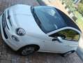 Fiat 500C 500 C 1.2 8V Pop-Star Weiß - thumbnail 3