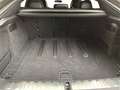 BMW X6 xDrive40d M Sportpaket Pro-BMW Niere Iconic Glow-A Grün - thumbnail 12