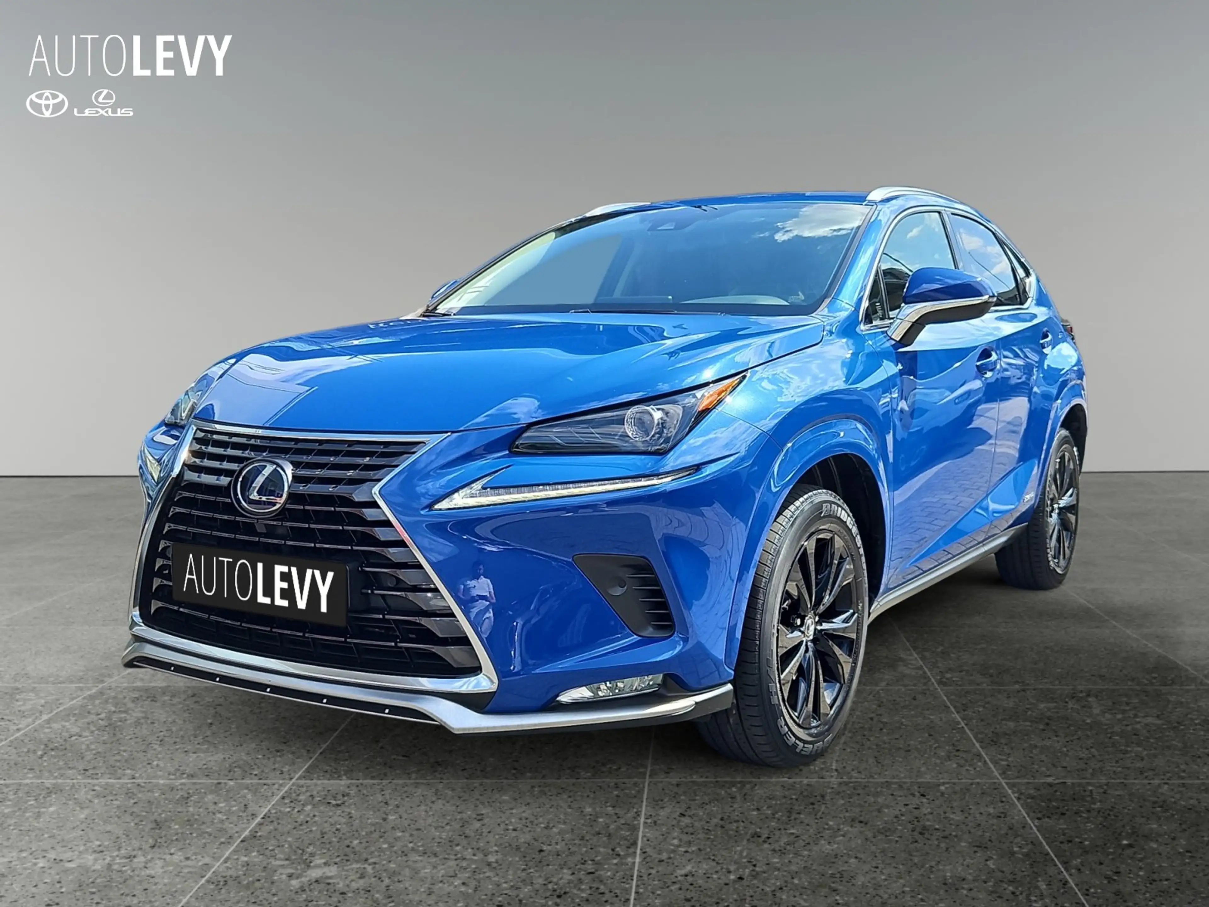 Lexus NX 300h Style Edition HYBRID/SHZ/KAMERA — photo 2