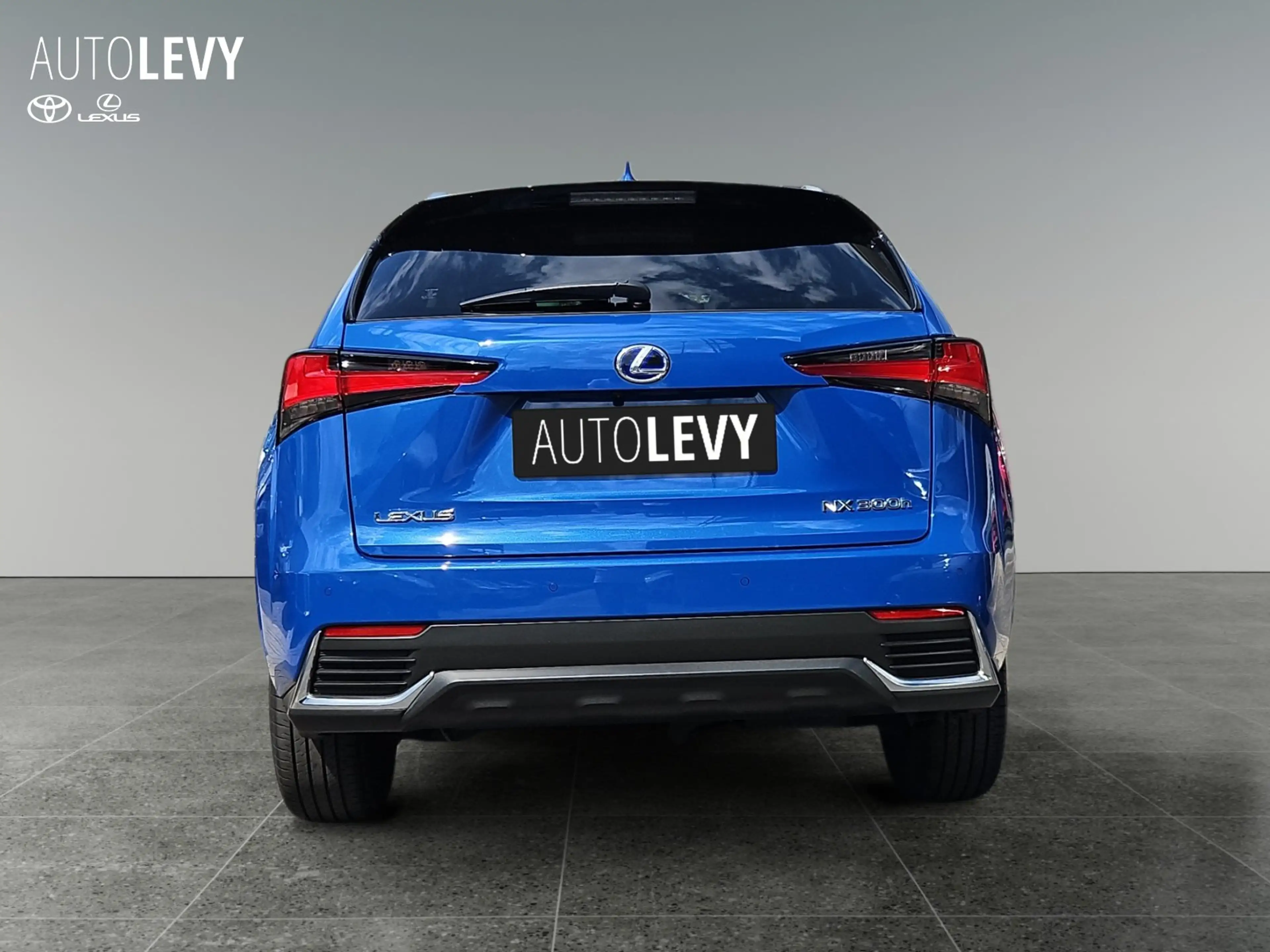 Lexus NX 300h Style Edition HYBRID/SHZ/KAMERA — photo 4