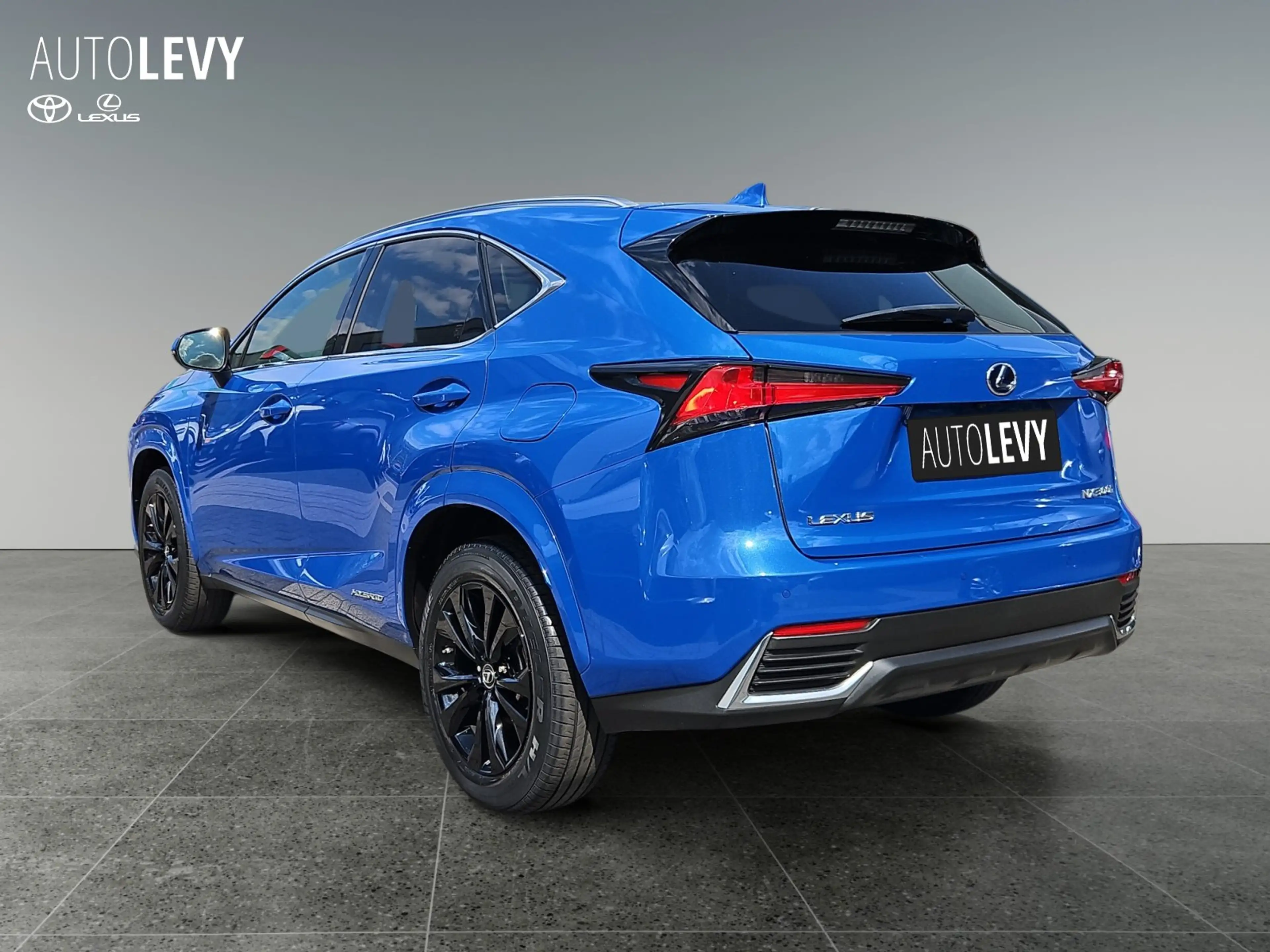 Lexus NX 300h Style Edition HYBRID/SHZ/KAMERA — photo 3