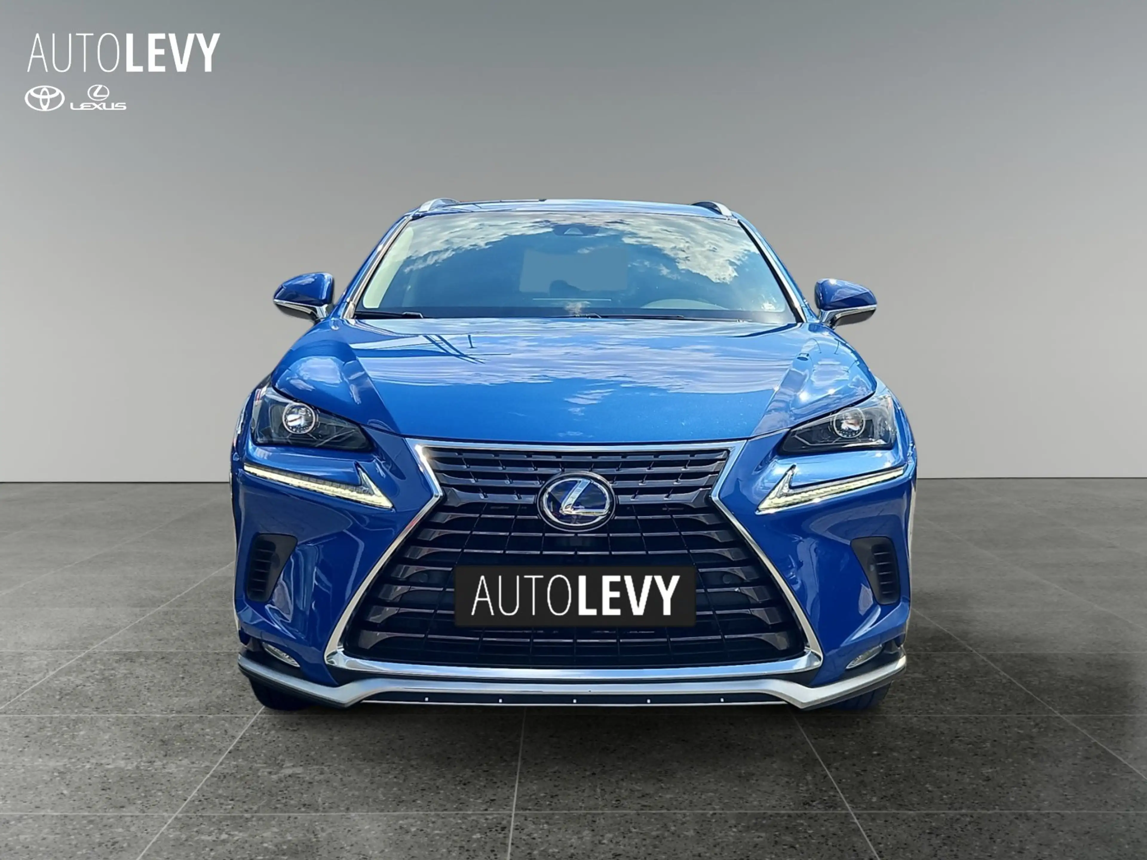 Lexus NX 300h Style Edition HYBRID/SHZ/KAMERA — photo 8