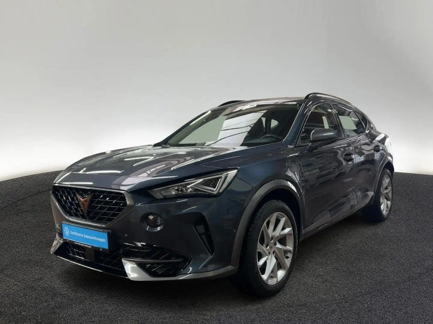 CUPRA Formentor 1.4 TSI e DSG Navi LED Kamera Grau - 2