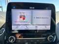 Ford EcoSport 1.5 Ecoblue 100 CV Start&Stop Titanium Blu/Azzurro - thumbnail 12