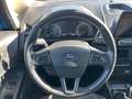Ford EcoSport 1.5 Ecoblue 100 CV Start&Stop Titanium Blu/Azzurro - thumbnail 10