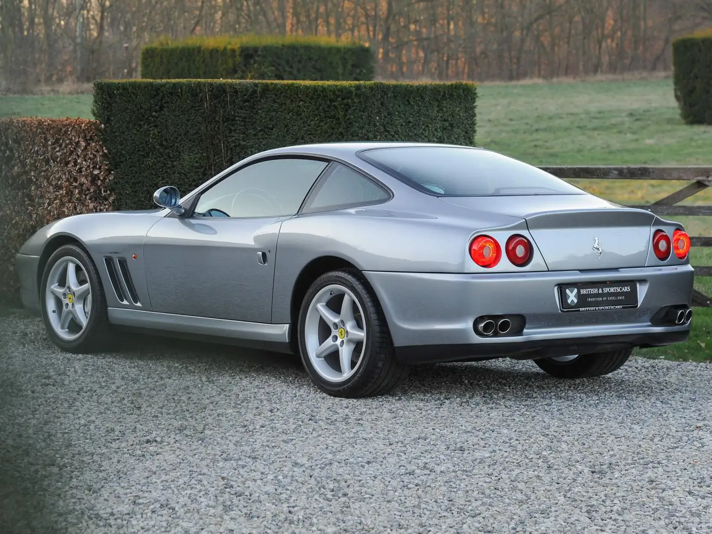 Ferrari 550 Maranello srebrna - 2