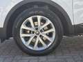 Renault Kadjar BUSINESS Edition TCe 140 EDC GPF Biały - thumbnail 14