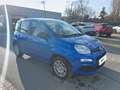 Fiat Panda 4x2 FireFly Hybrid 70 Blau - thumbnail 3