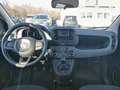 Fiat Panda 4x2 FireFly Hybrid 70 Blau - thumbnail 8