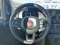Fiat Panda 4x2 FireFly Hybrid 70 Blau - thumbnail 12