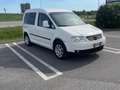 Volkswagen Caddy Life Family 1,9 TDI Weiß - thumbnail 2