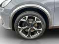 CUPRA Formentor 2.0 TSI DSG 4Drive VZ AHK*VIRTUAL*NAVI*LED*ACC*... Grau - thumbnail 18