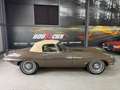 Jaguar E-Type Braun - thumbnail 13