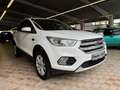 Ford Kuga Cool & Connect *Kamera-Sicht-Paket* Blanc - thumbnail 4