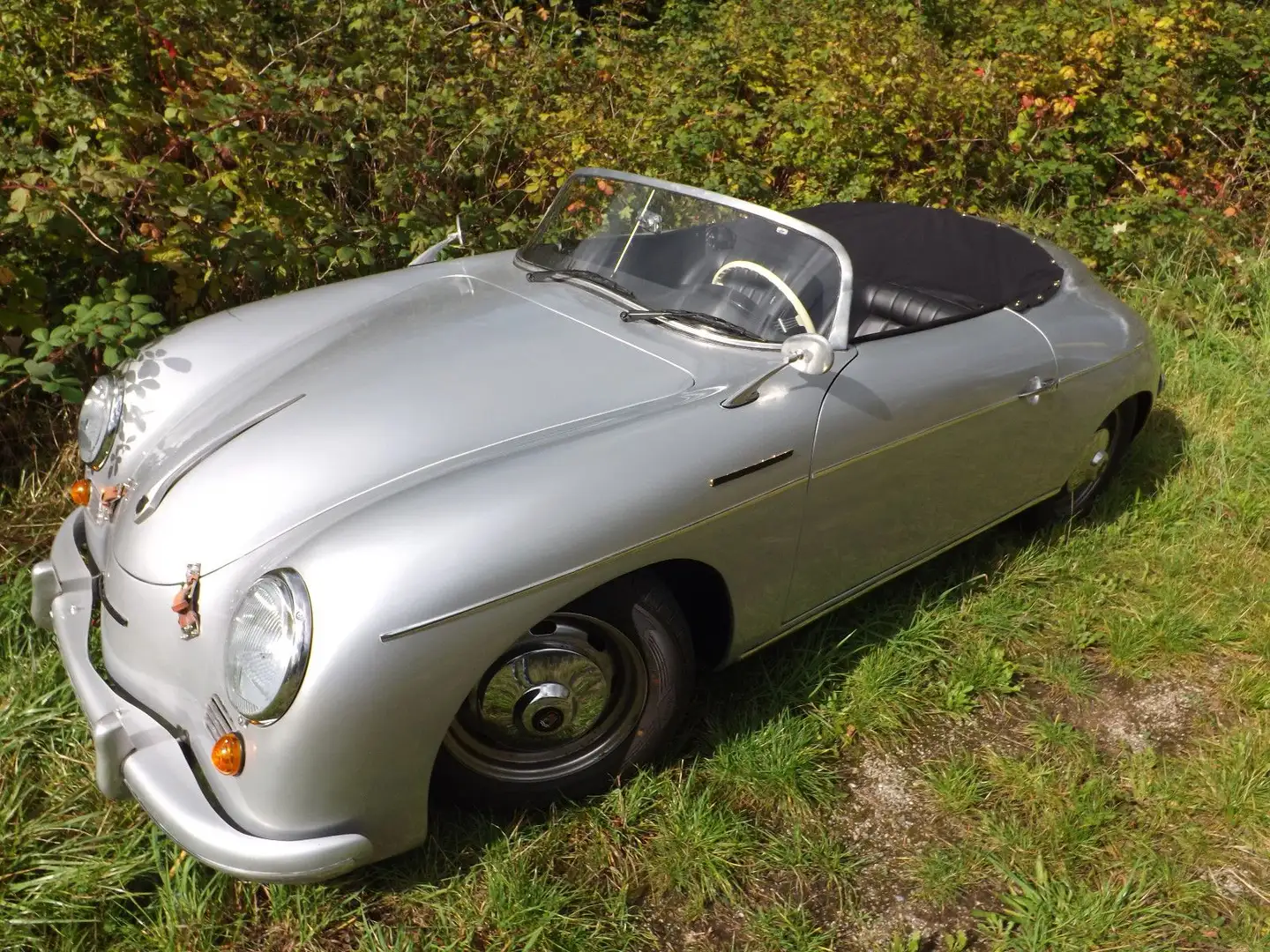 Drugi APAL Roadster Sport-Cabriolet srebrna - 2
