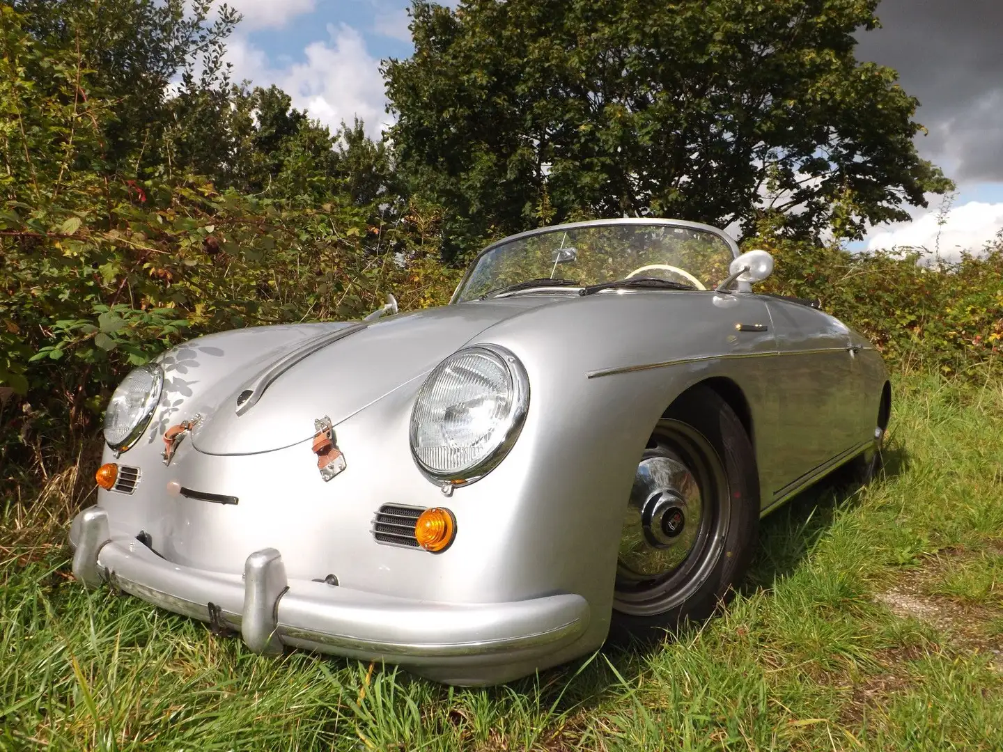 Drugi APAL Roadster Sport-Cabriolet srebrna - 1