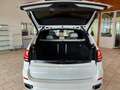 BMW X5 xDrive30d Aut. M Paket Weiß - thumbnail 8