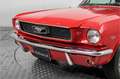 Ford Mustang 289 V8 automatic . Rouge - thumbnail 20