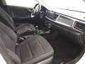 Kia Rio 1.0 T-GDi 74kW (100CV) Drive Blanc - thumbnail 17