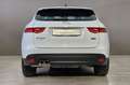 Jaguar F-Pace 2.0 D 180 CV AWD aut. Pure + IVA Bianco - thumbnail 7