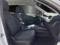 Ford Kuga 2.5  PHEV Cool & Conn Aut./GRA/SHZ/NAVI/PDC Wit - thumbnail 7