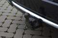 BMW 540 d xdrive Luxury Line ! Top condition !! Grijs - thumbnail 16