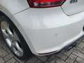 Volkswagen Polo GTI 5p 1.4 tsi 180cv dsg Bianco - thumbnail 7
