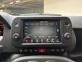 Fiat Panda 1.0 firefly hybrid Cross s&s 70 CV Verde - thumbnail 10