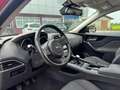 Jaguar F-Pace 2.0d i4 Pure 163cv my18 Tetto Pano - FP333BW Rosso - thumbnail 8