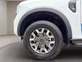 Ford Ranger 2.3 phev doppia cabina Wildtrak awd 281cv auto Wit - thumbnail 14