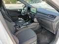 Ford Kuga 2,5 Duratec FHEV ST-Line Aut. Weiß - thumbnail 9
