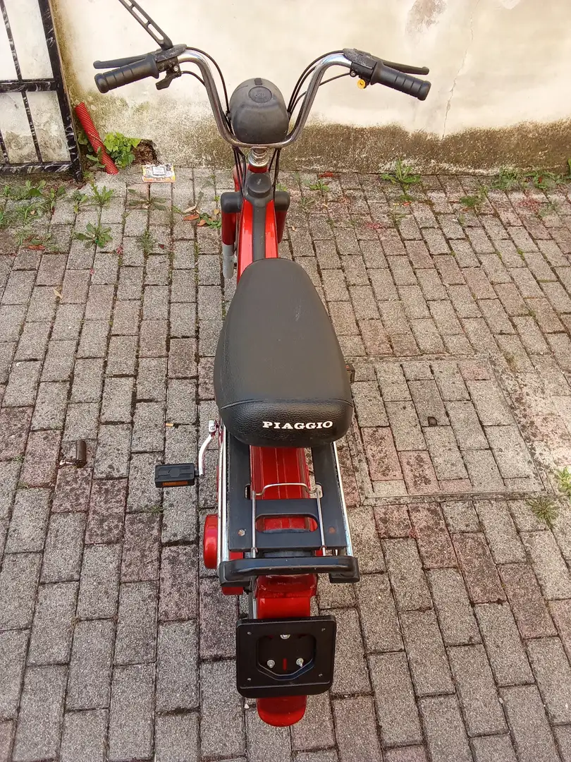 Piaggio Si cat Rouge - 2