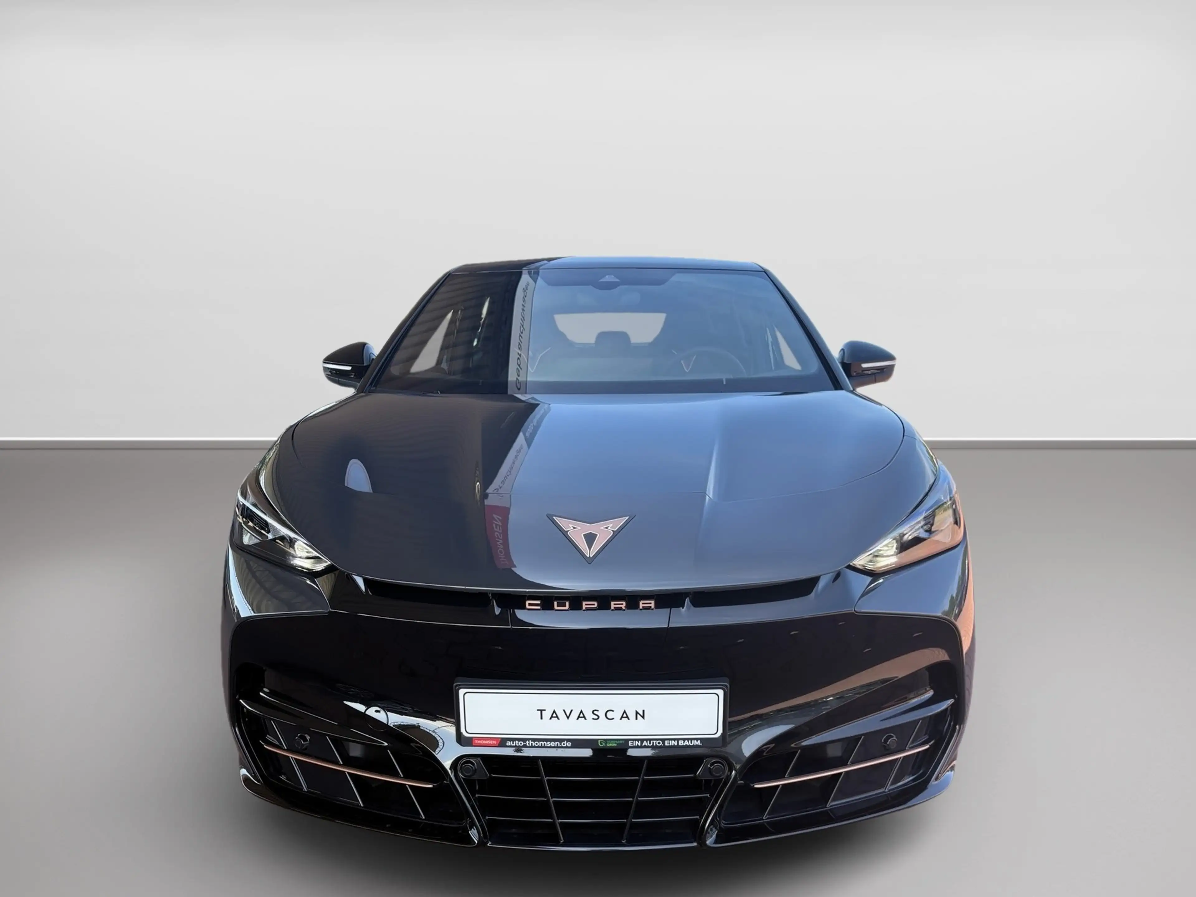 CUPRA Tavascan Endurance ACC+AUT+LED+Wärmep.+Virtual+GJ — photo 3