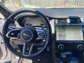 Jaguar E-Pace 2.0 i4 mhev R-Dynamic awd 200cv-INFO 3338160782 Blanc - thumbnail 10
