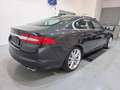 Jaguar XF Luxury Grau - thumbnail 3