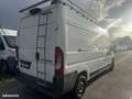 Citroen Jumper FG 33 L3H2 3.0 HDI 180 CLUB Blanc - thumbnail 4